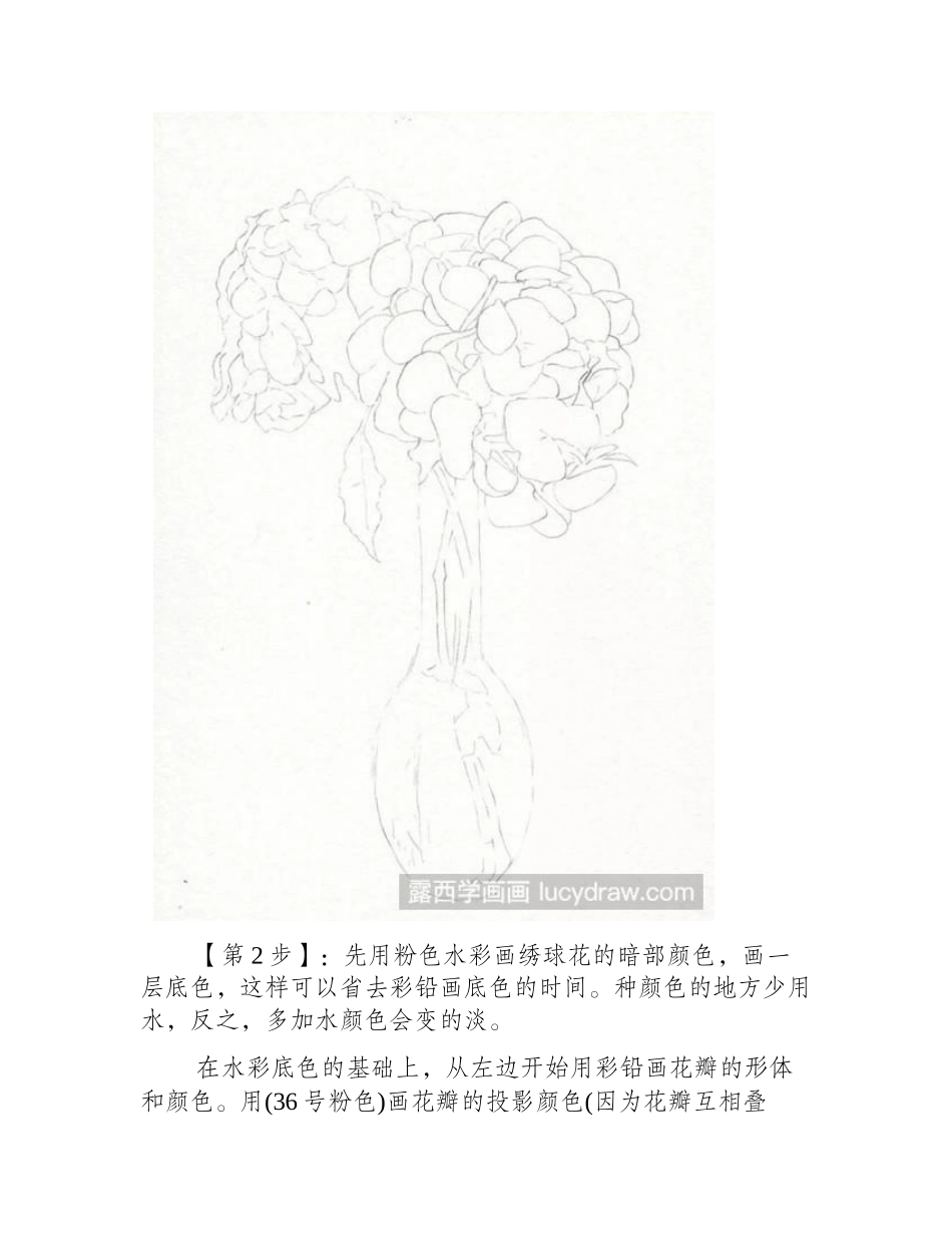 手把手教你画彩铅绣球花彩铅画教程1_第2页