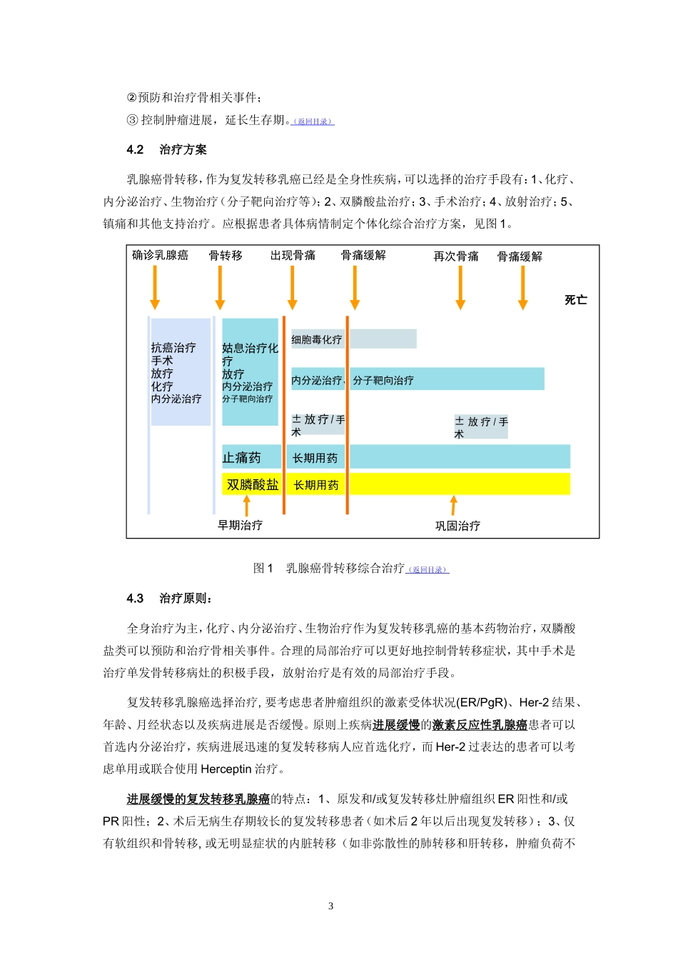 乳腺癌骨转移临床诊疗专家共识_第3页