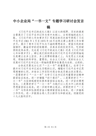 中小企业局“一书一文”专题学习研讨会发言稿