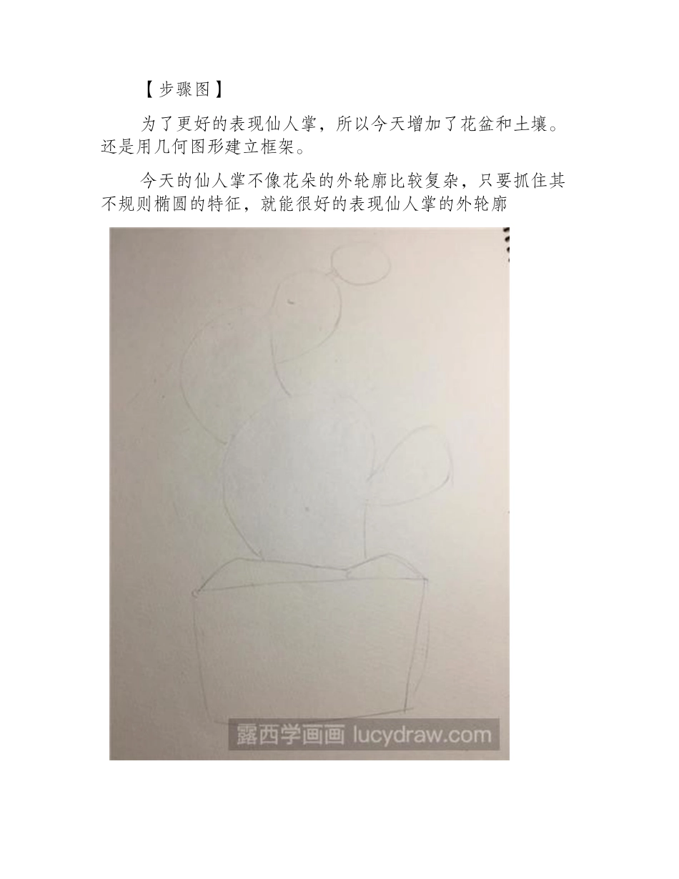 仙人掌彩铅画教程彩铅画教程_第2页