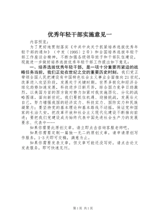 优秀年轻干部实施意见一