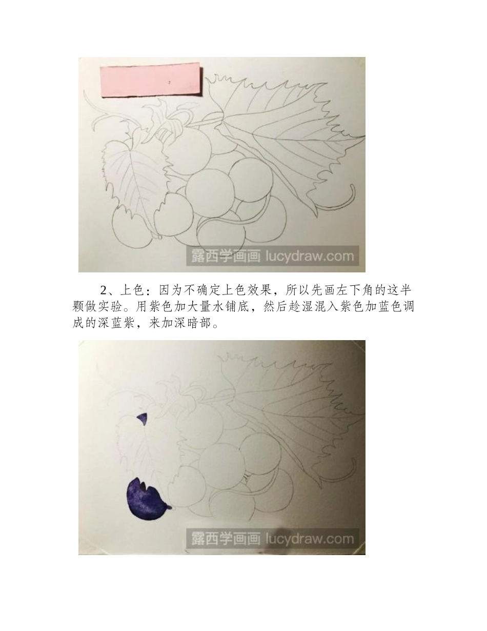 水彩画葡萄熟了绘画步骤水彩画教程_第2页