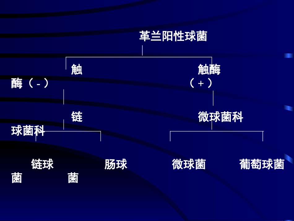 球菌(2010)_第2页