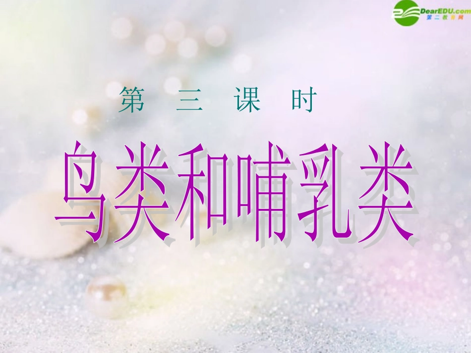 鸟类和哺乳类_第1页