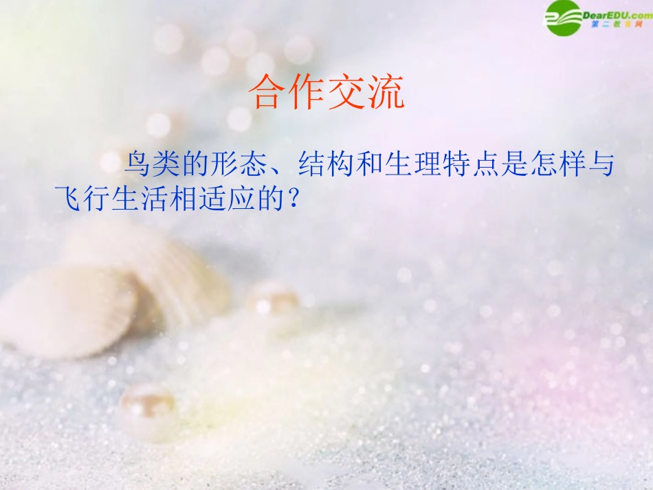 鸟类和哺乳类_第2页