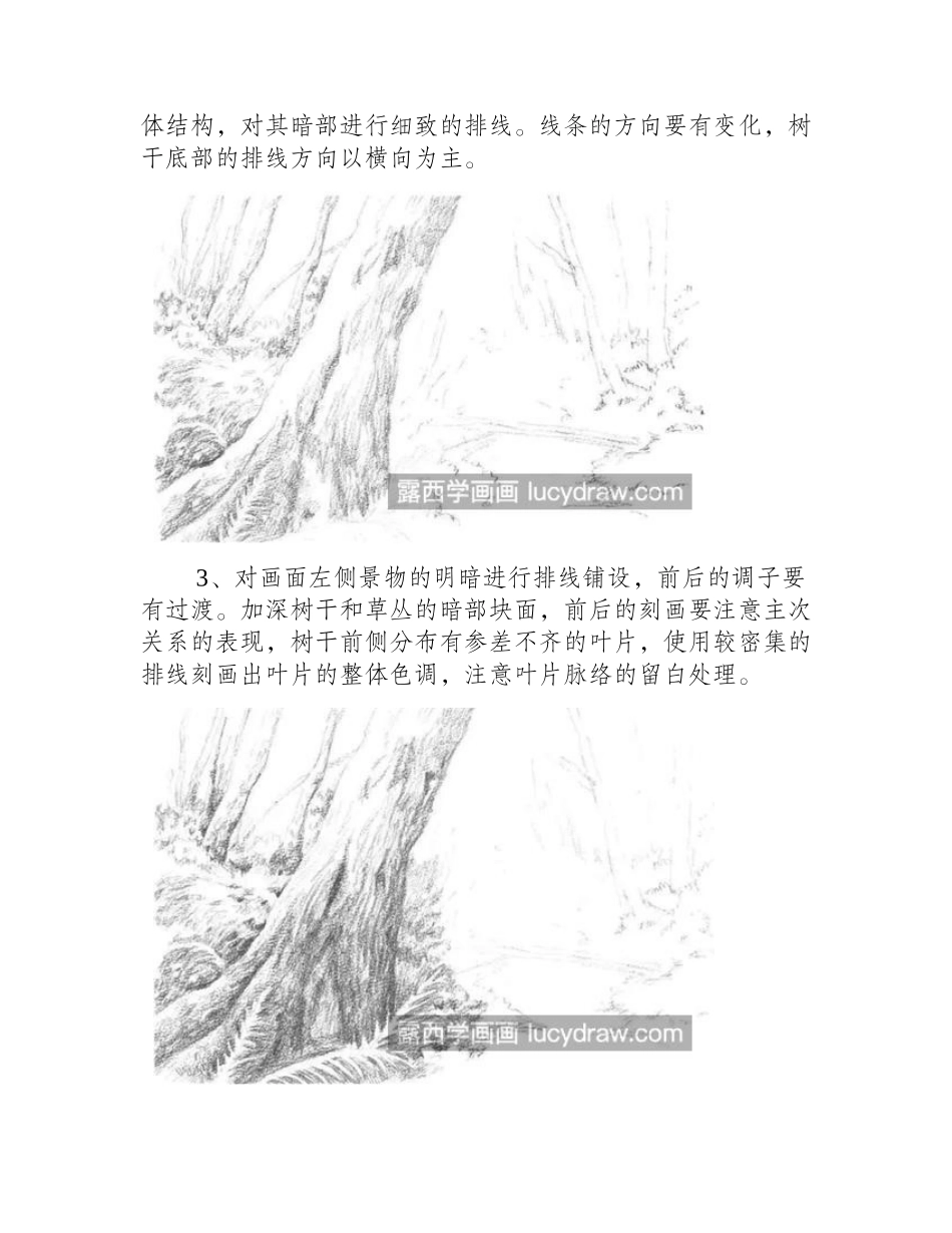 溪水旁的树丛怎么画_详细的素描教程分享素描教程_第2页