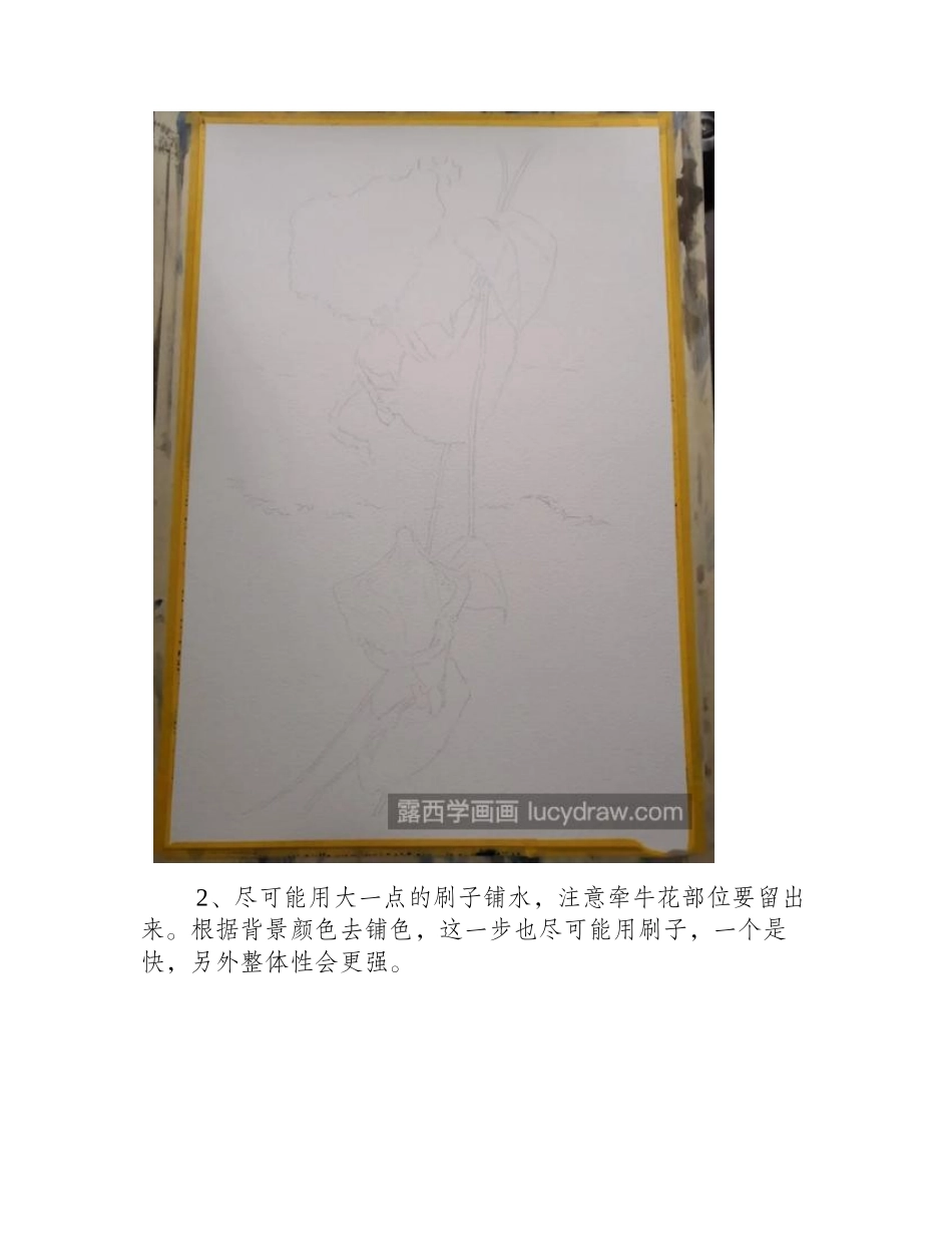 墙边的牵牛花怎么画_要注意什么_水彩画教程_第2页