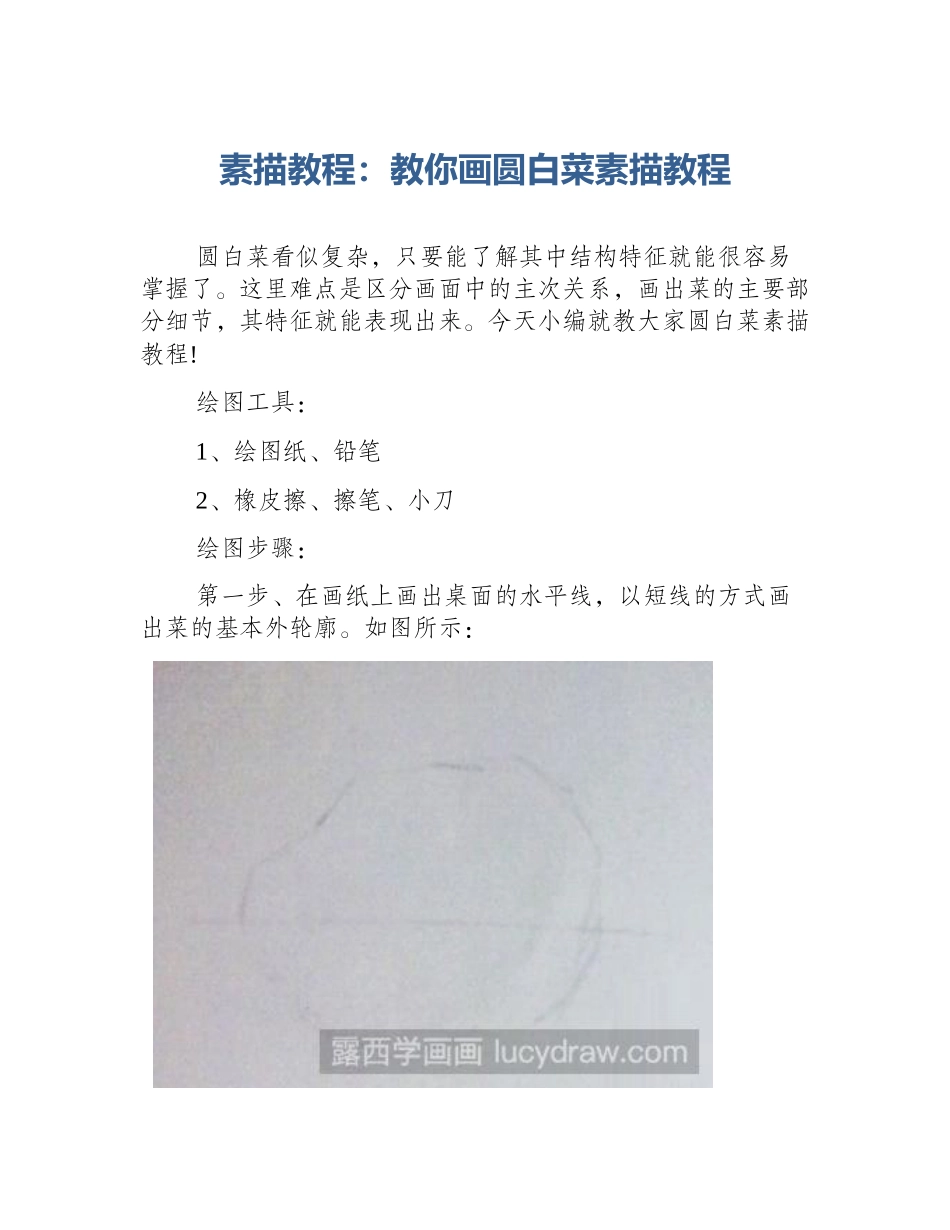 素描教程：教你画圆白菜素描教程_第1页