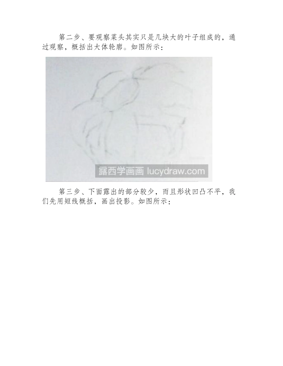 素描教程：教你画圆白菜素描教程_第2页