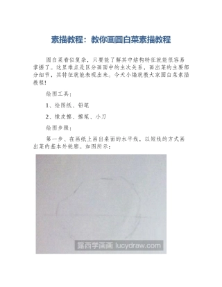 素描教程：教你画圆白菜素描教程