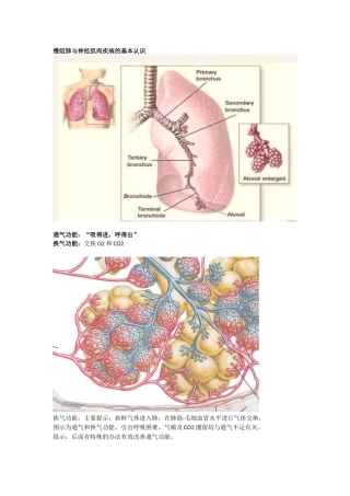 慢阻肺与神经肌肉疾病的基本认识