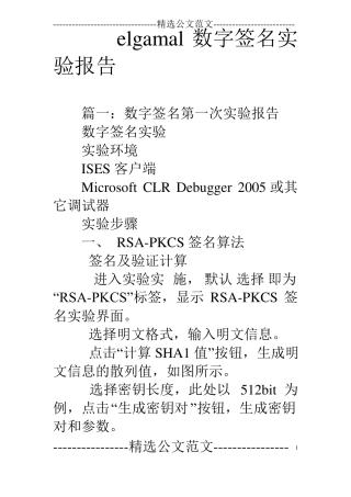 elgamal数字签名试验报告