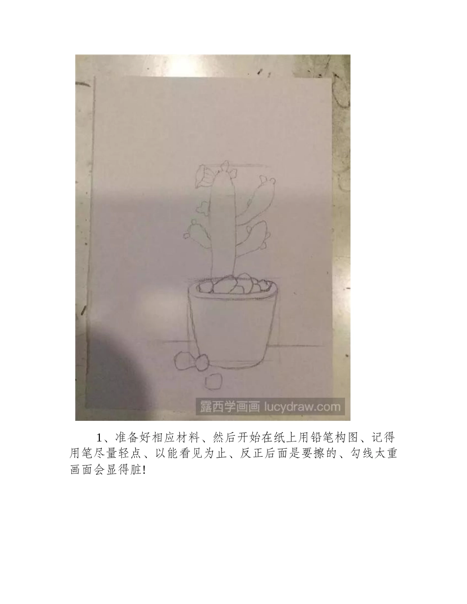 仙人掌水彩画怎么画水彩画教程_第2页