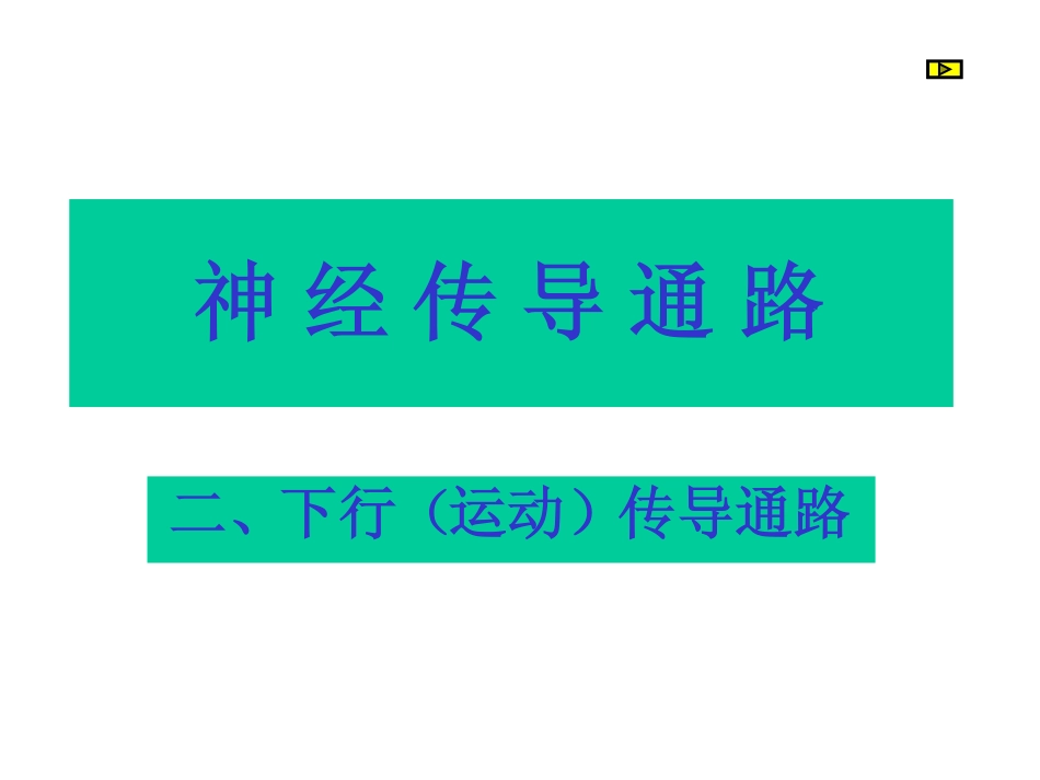 神经下行(运动)传导通路_第1页