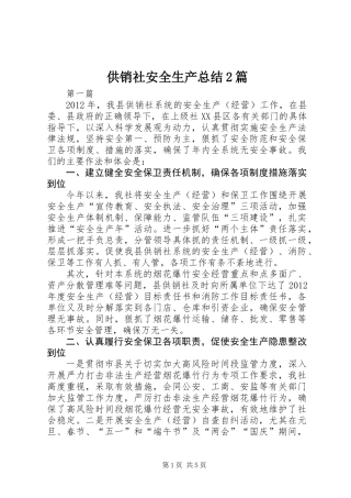 供销社安全生产总结2篇