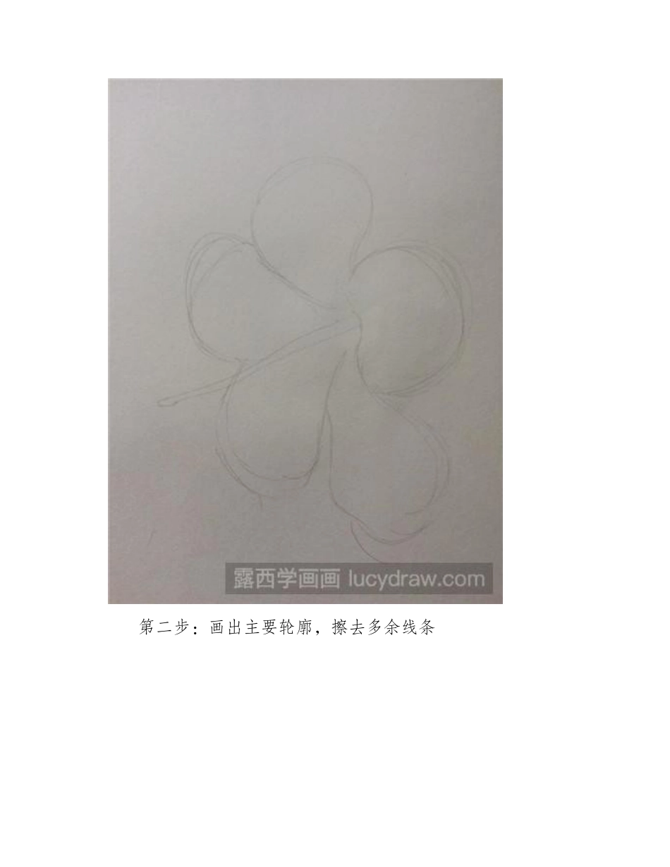 水彩画教程：教你画扶桑花水彩画教程_第2页