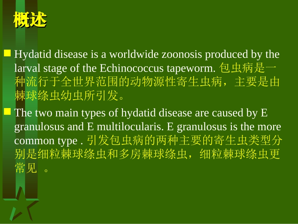 脑包虫病-细粒棘球绦虫感染MRI诊断2012.2.27_第2页