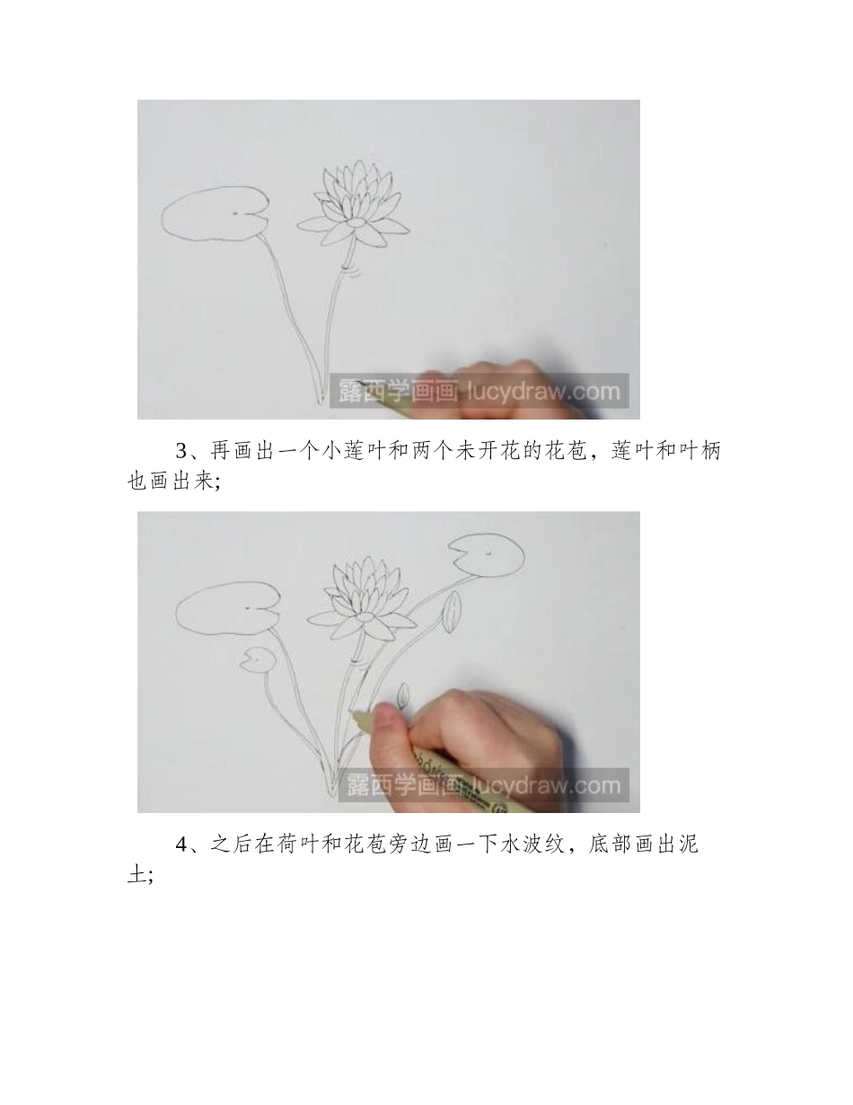睡莲简笔画怎么画_简笔画教程1_第2页