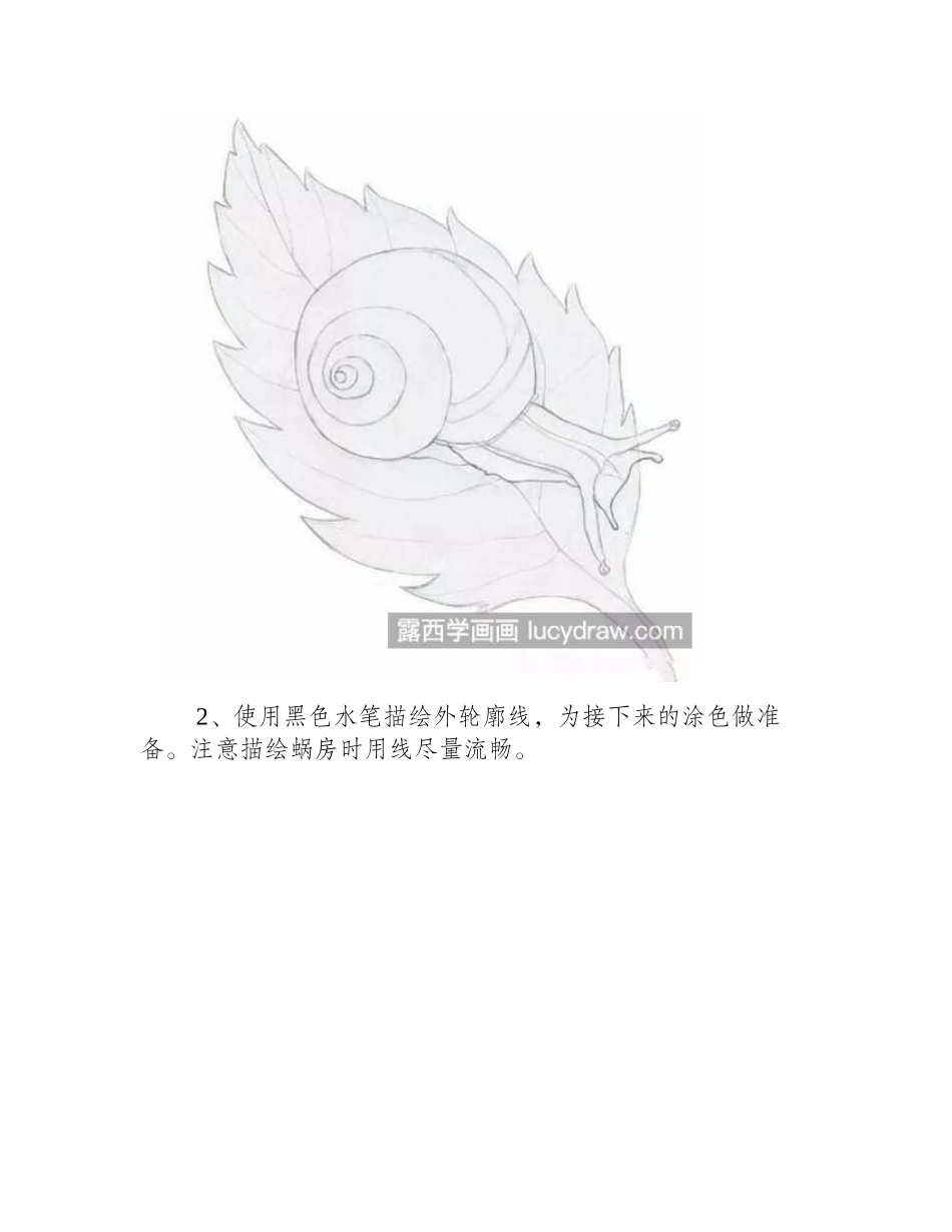 蜗牛的画法是什么_彩铅蜗牛该怎么上色_彩铅画教程_第2页