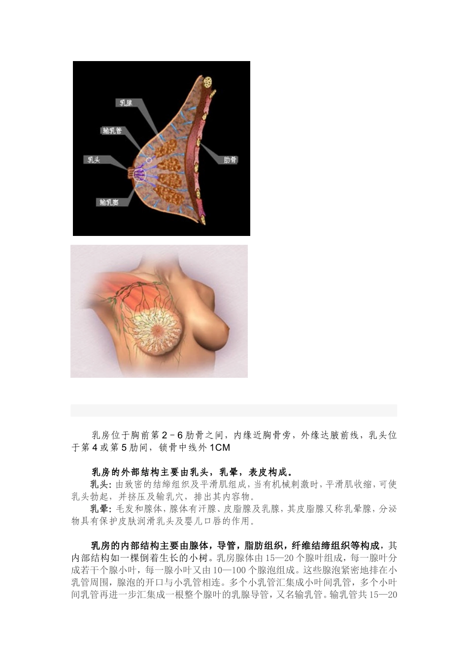 女人如何健胸,护胸,养胸_第3页