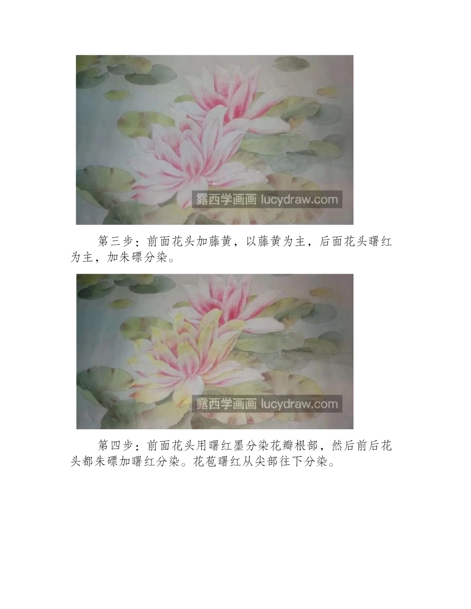 睡莲的画法是什么_有哪些工笔画步骤_工笔画教程_第2页