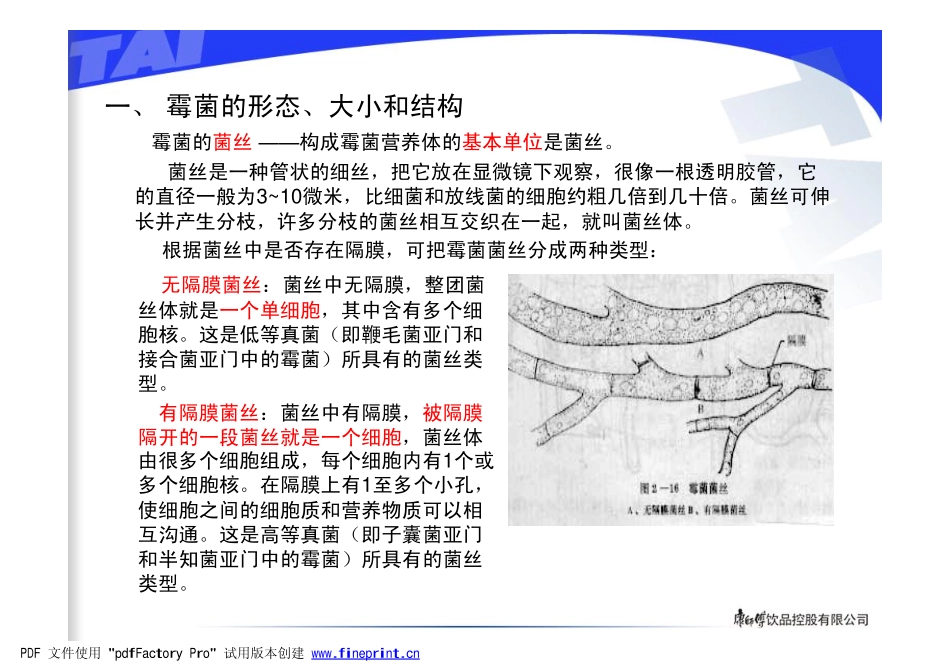 霉菌基础知识介绍_第3页