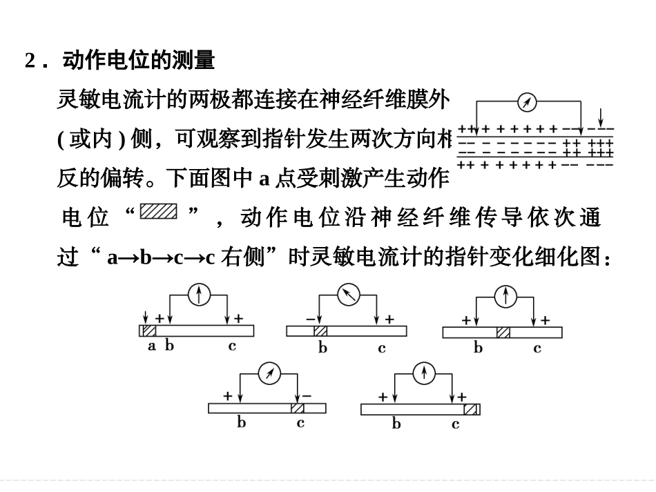 神经调节高考重点题型专训_第3页