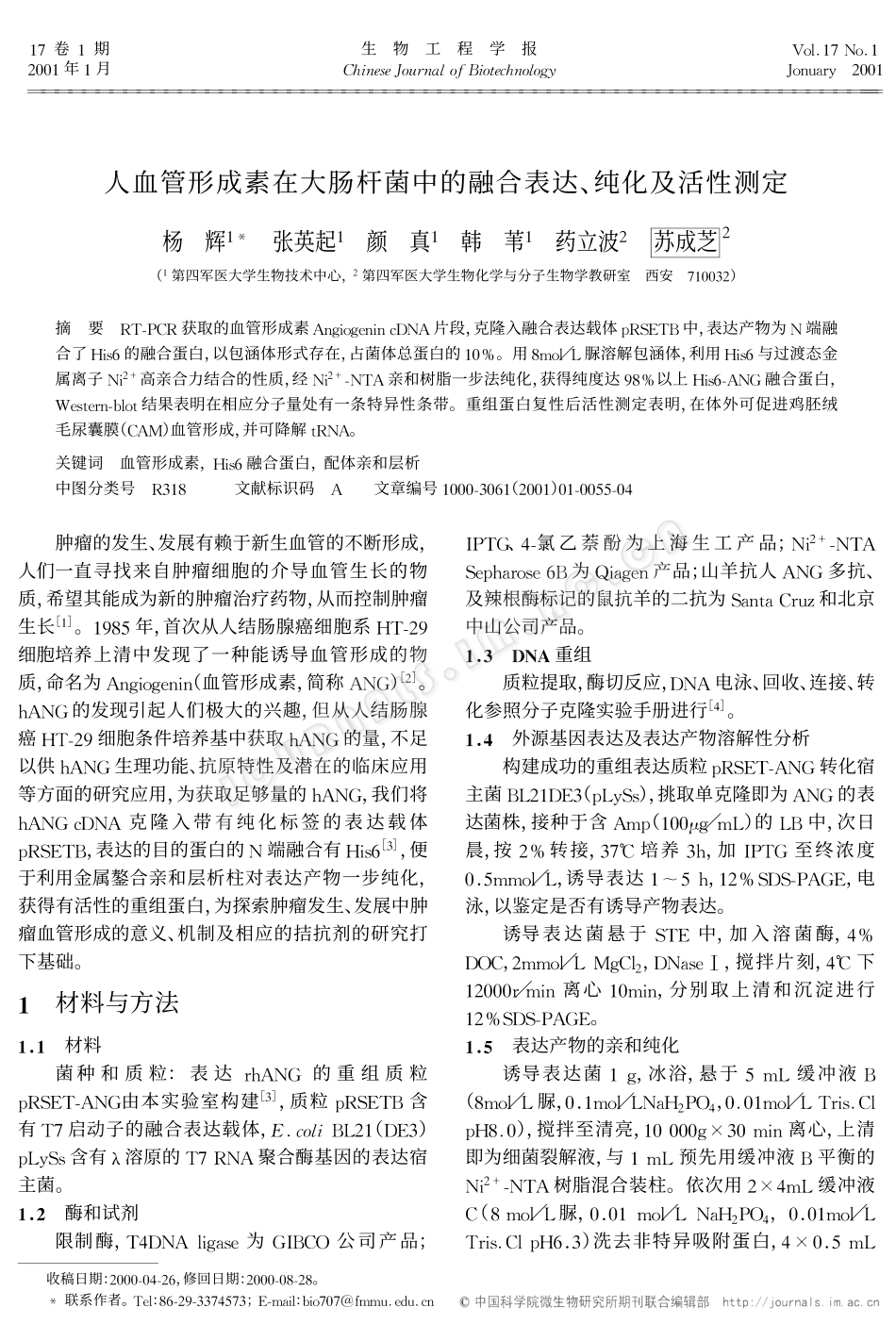 人血管形成素在大肠杆菌中的融合表达、纯化及活性测定_第1页