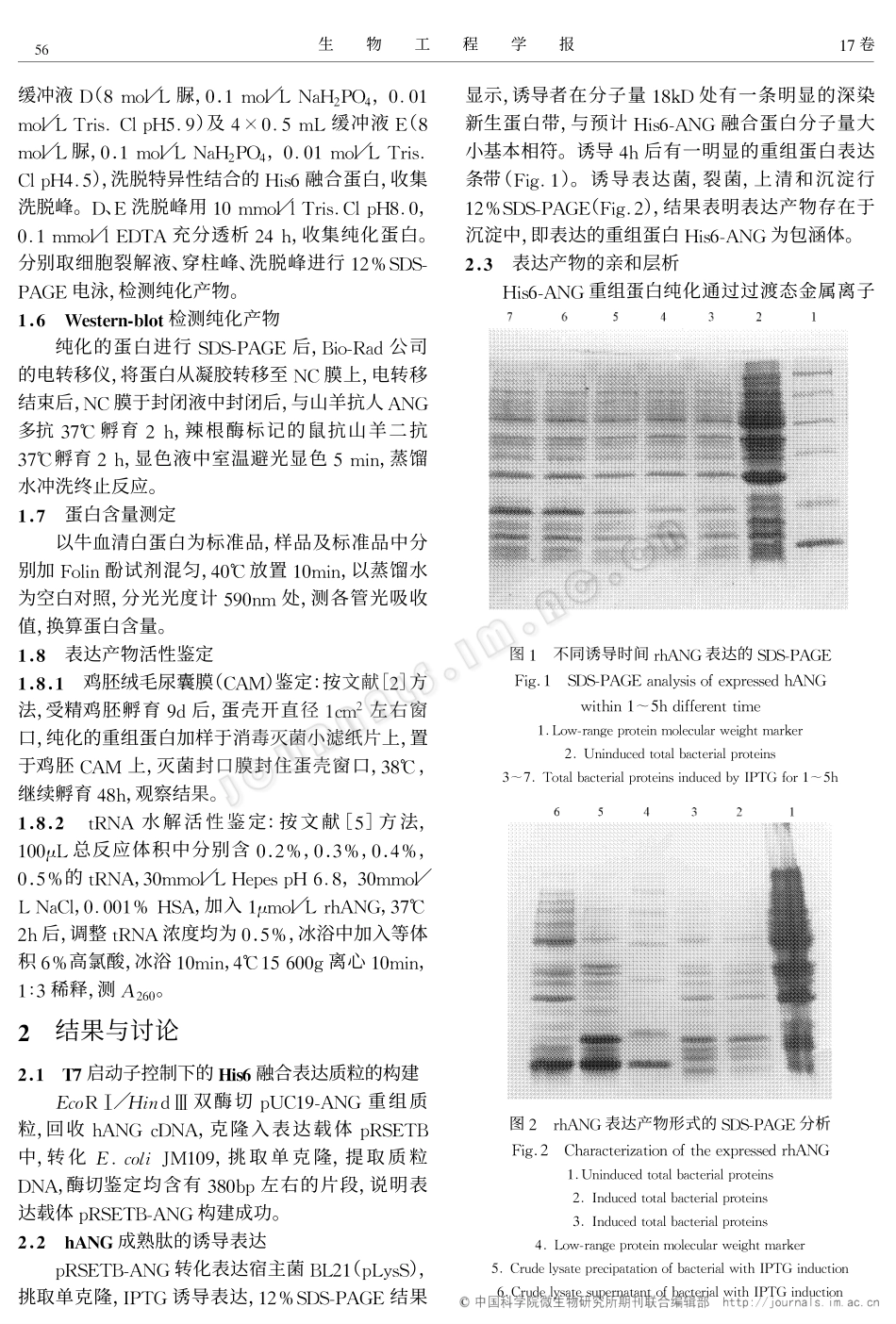 人血管形成素在大肠杆菌中的融合表达、纯化及活性测定_第2页