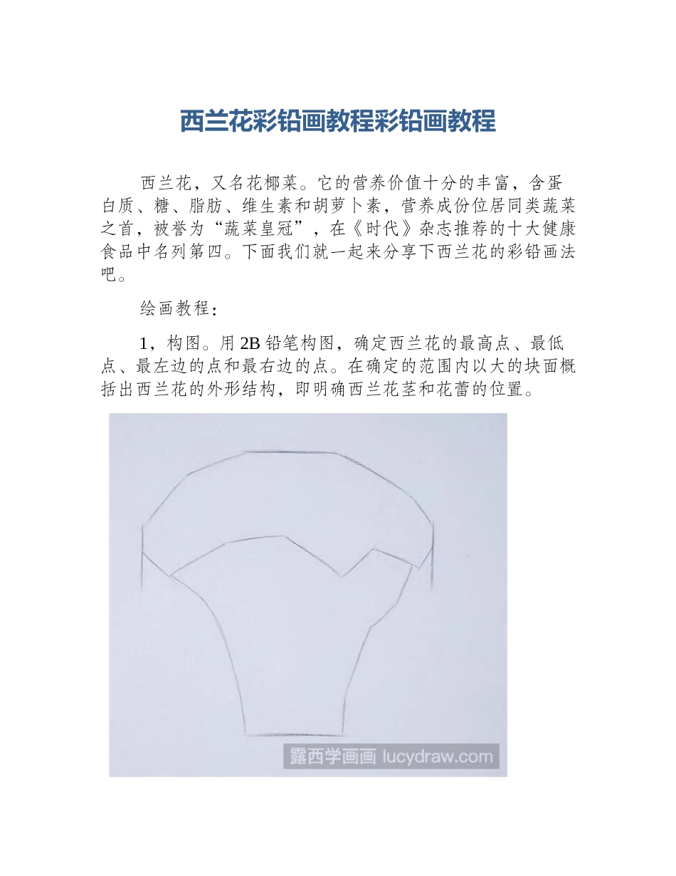 西兰花彩铅画教程彩铅画教程_第1页