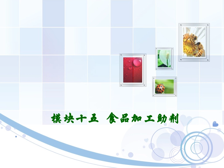 模块十五-食品加工助剂_第1页