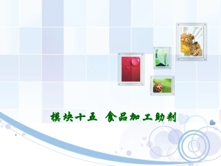 模块十五-食品加工助剂