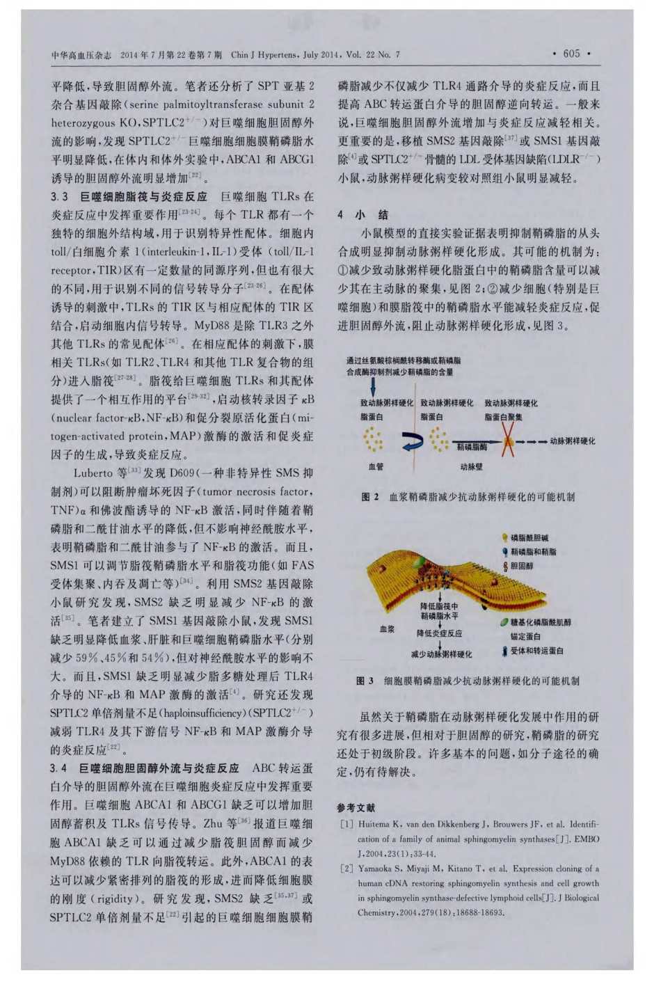 鞘磷脂代谢与动脉粥样硬化_第3页