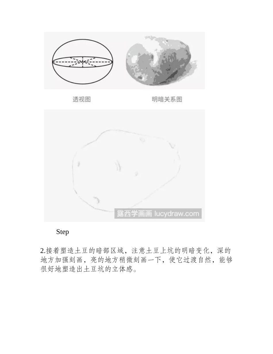 素描土豆画法素描教程_第2页