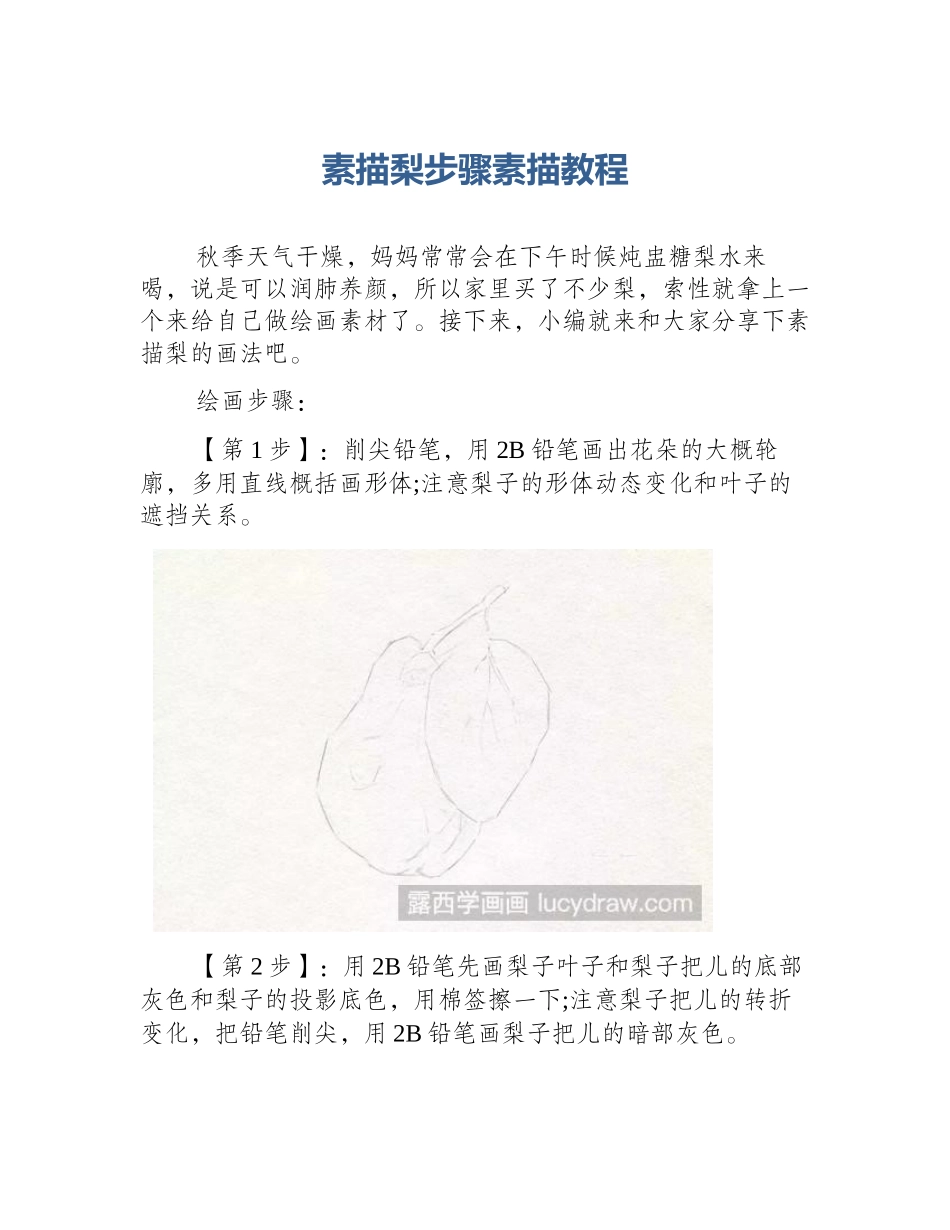 素描梨步骤素描教程_第1页