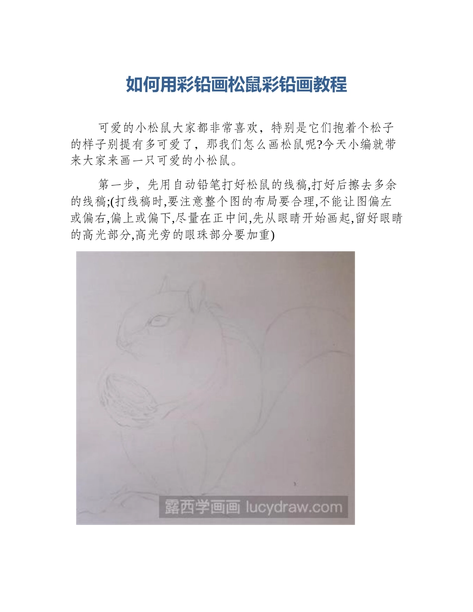 如何用彩铅画松鼠彩铅画教程_第1页