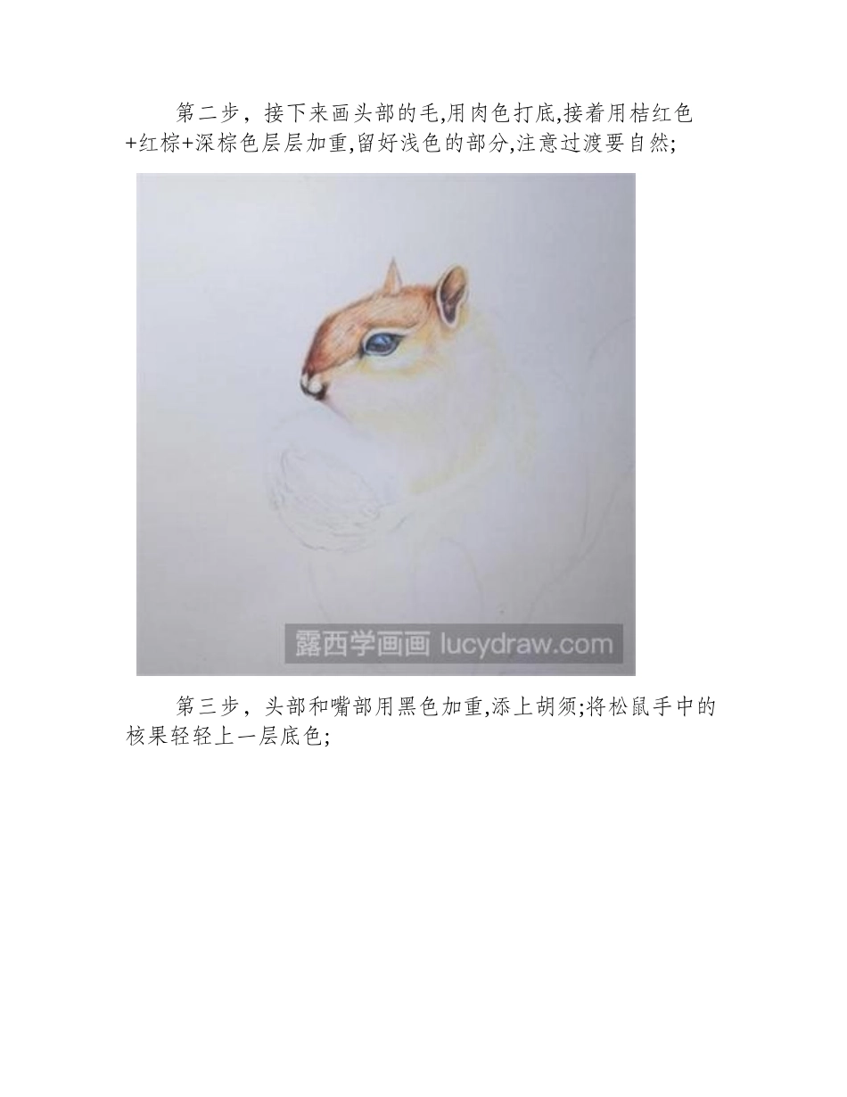 如何用彩铅画松鼠彩铅画教程_第2页