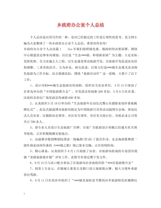 乡政府办公室个人总结 