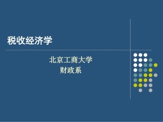 税收微观经济效应