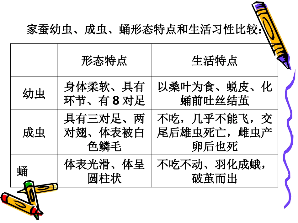 人教版八年级生物：家蚕幼虫、成虫、蛹形态特点和生活习性比较_第2页