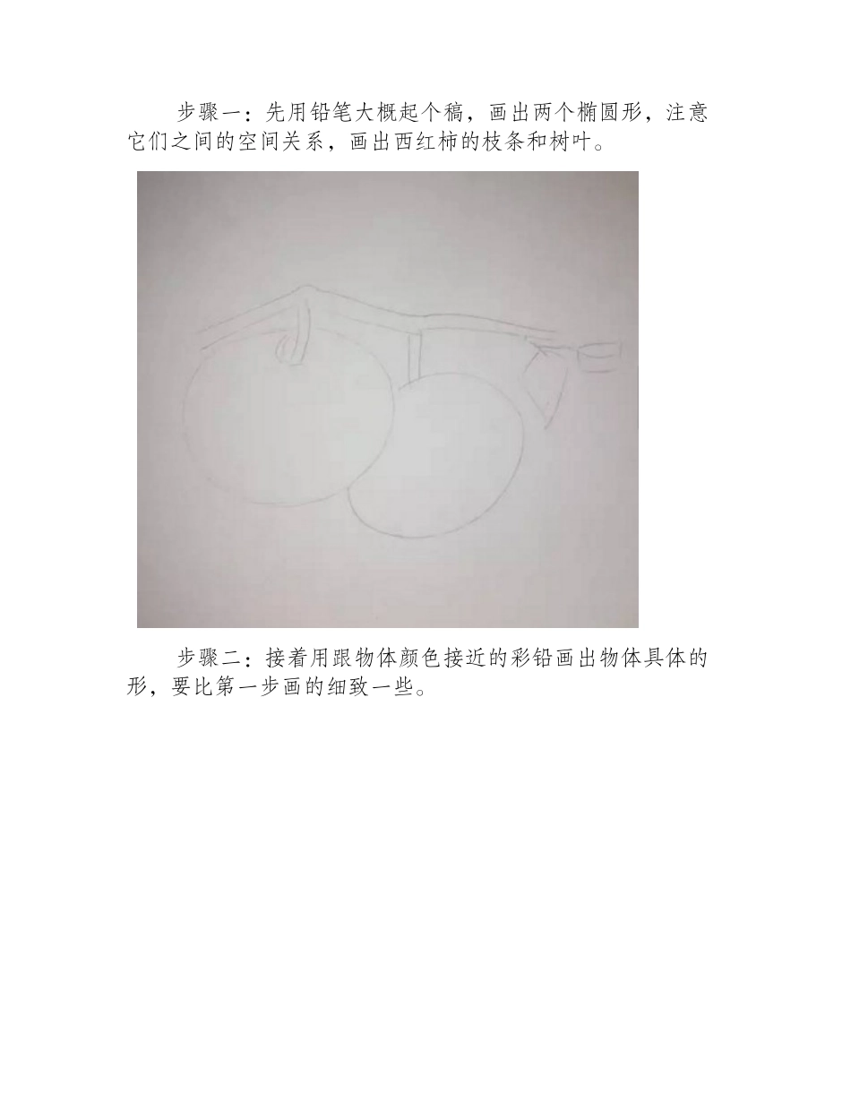 西红柿怎么画_彩铅画西红柿的画法彩铅画教程1_第2页