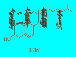 生物化学  脂质