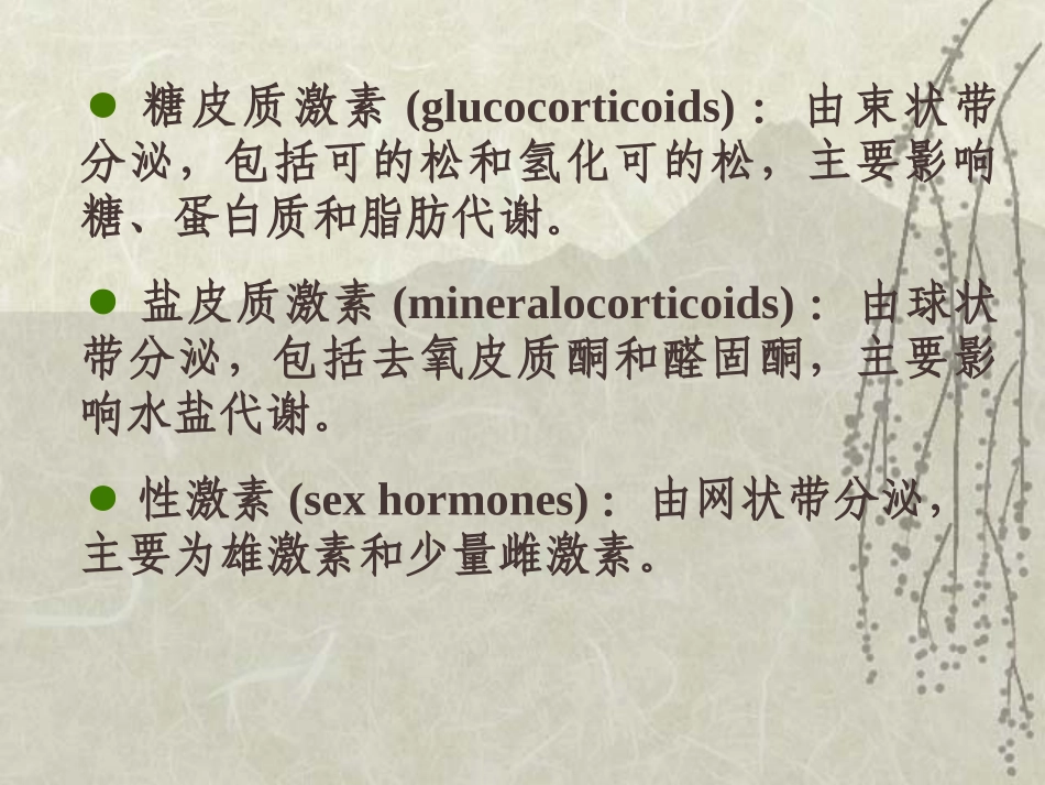 内分泌系统药理_第2页