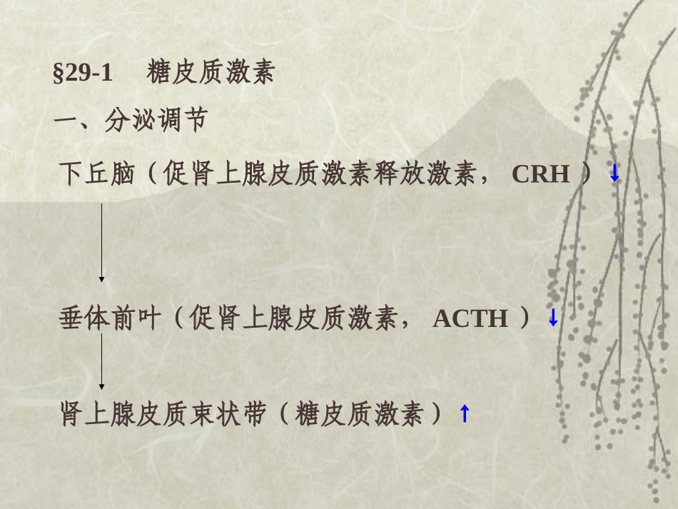 内分泌系统药理_第3页