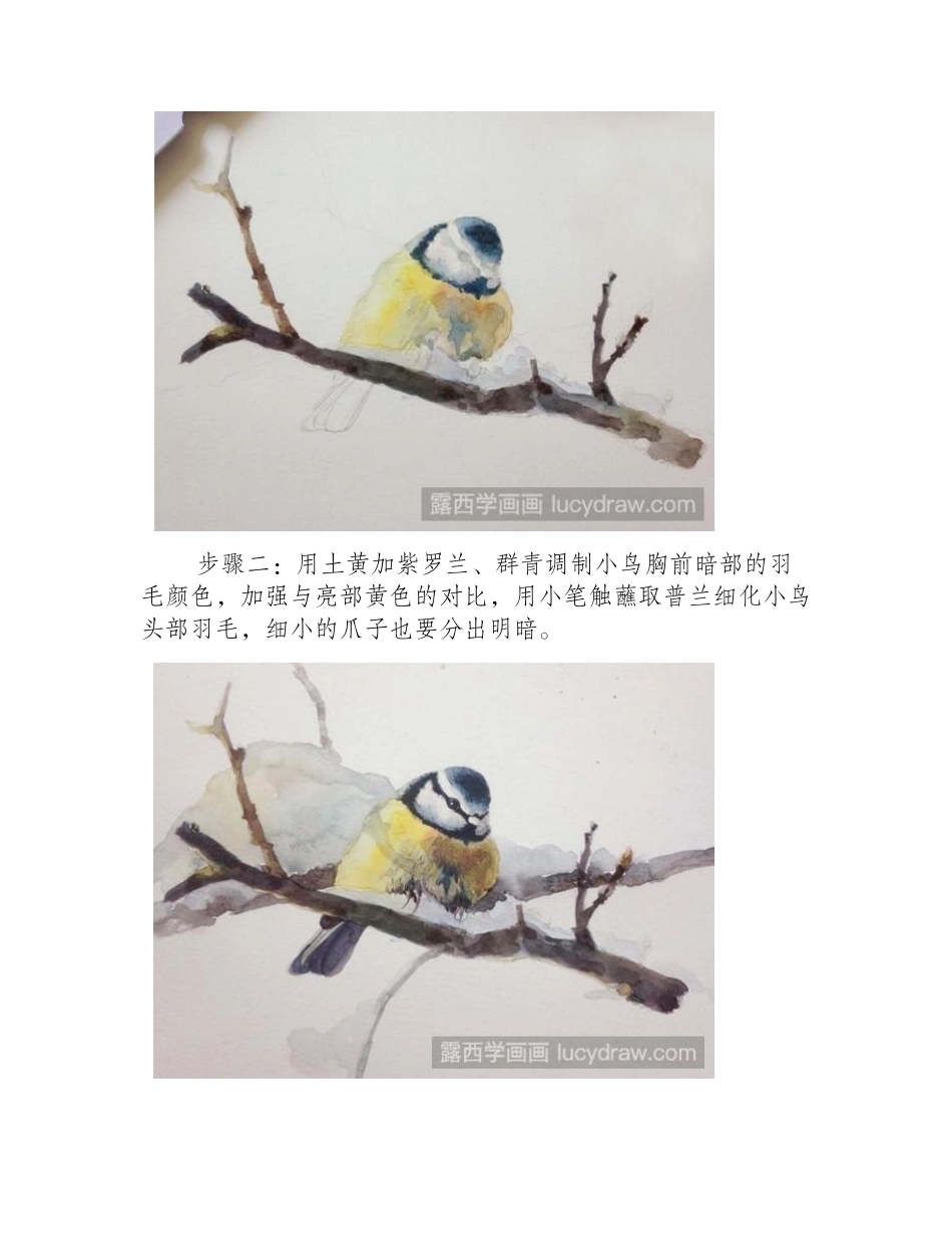 水彩画动物教程：水彩画小鸟水彩画教程_第2页