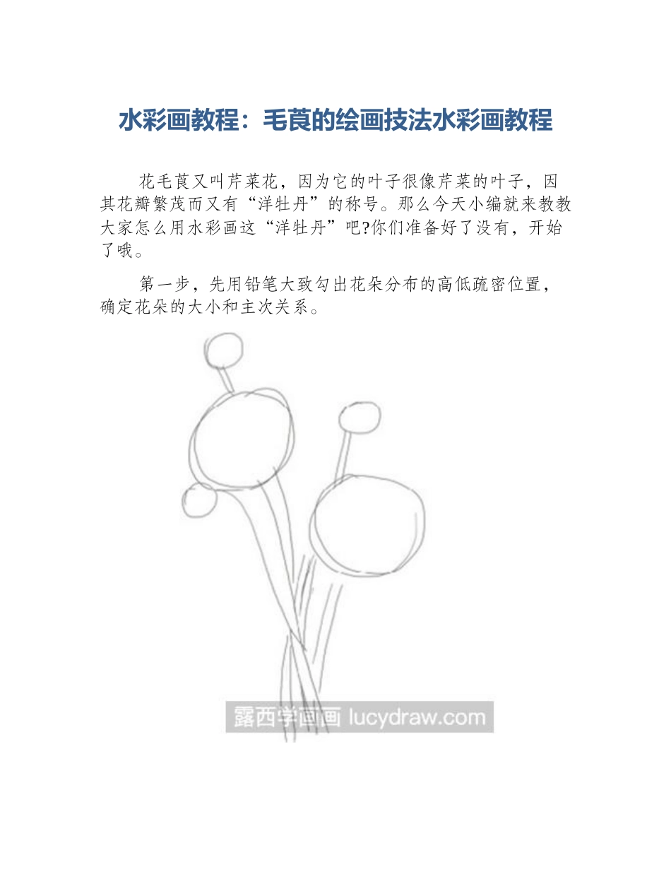 水彩画教程：毛莨的绘画技法水彩画教程_第1页