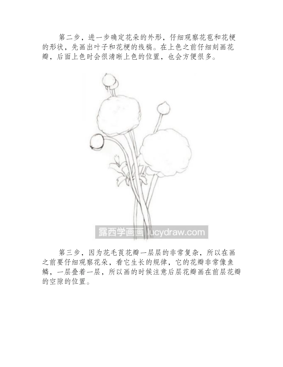 水彩画教程：毛莨的绘画技法水彩画教程_第2页