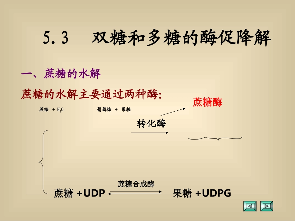 双糖和多糖的酶促降解_第1页