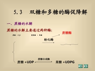 双糖和多糖的酶促降解