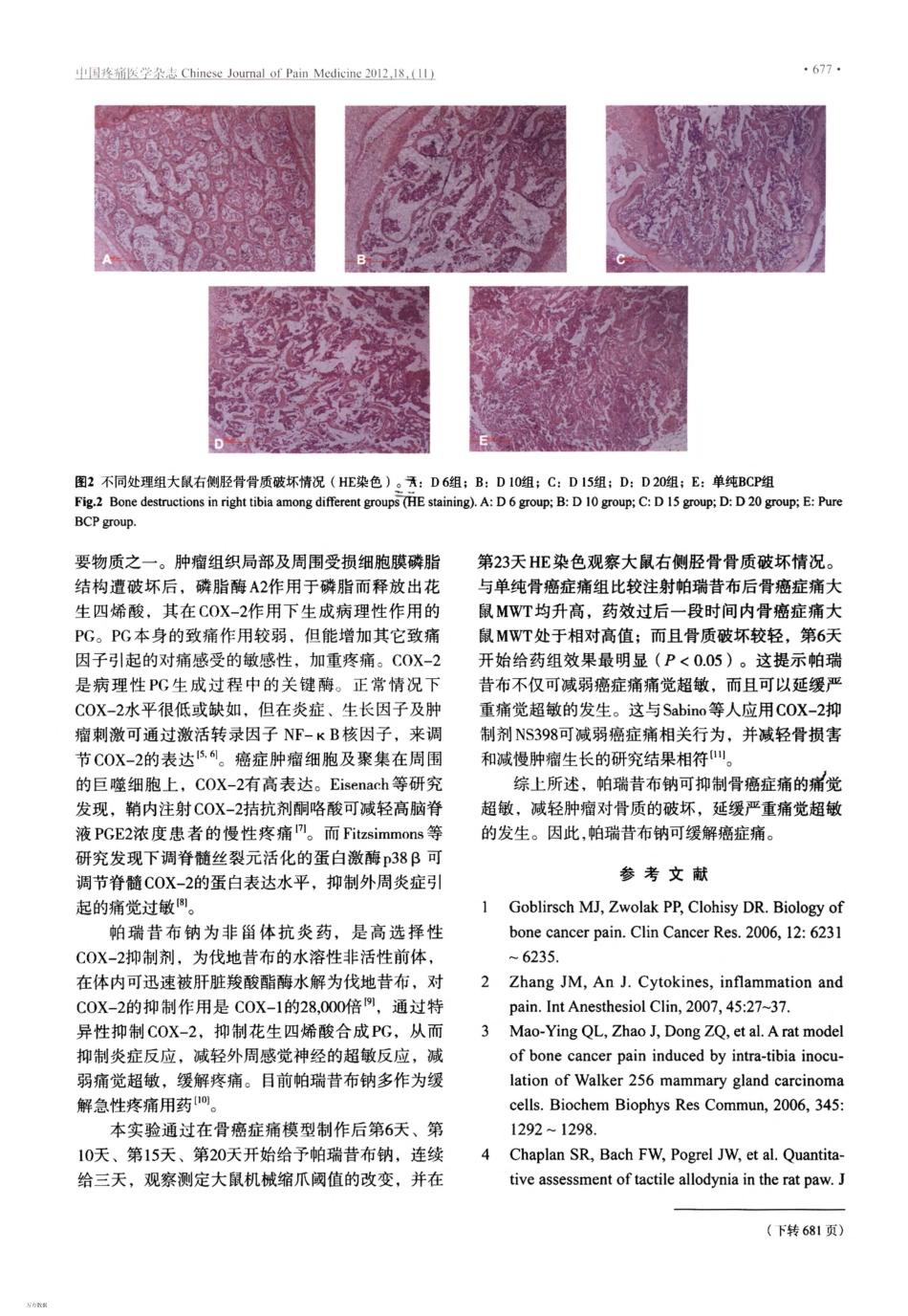 帕瑞昔布钠对骨癌症痛大鼠痛觉超敏和骨质破坏的影响_第3页